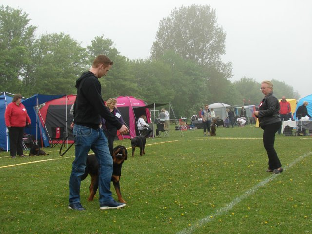 Svendborg 2013