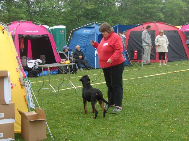 Svendborg 2013