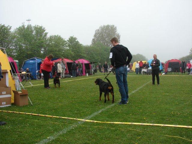 Svendborg 2013