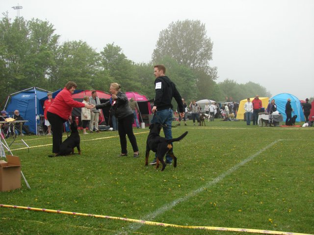 Svendborg 2013