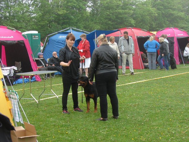 Svendborg 2013
