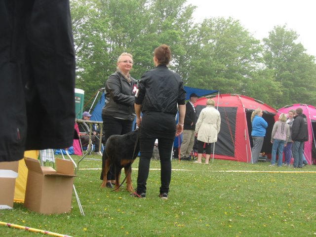 Svendborg 2013