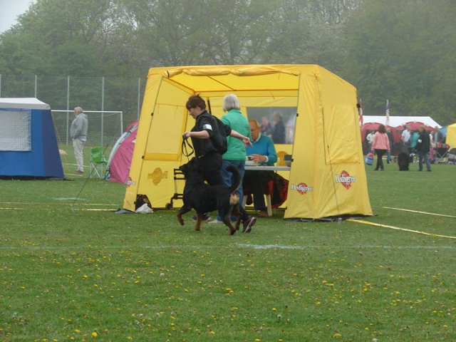Svendborg 2013