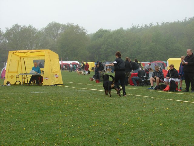 Svendborg 2013