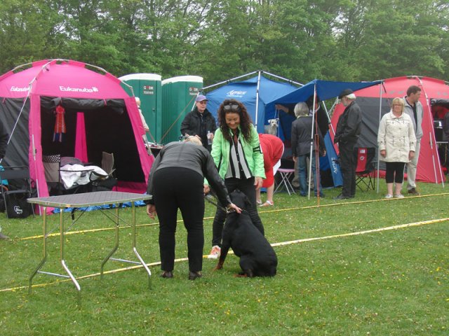 Svendborg 2013