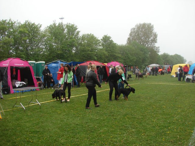 Svendborg 2013
