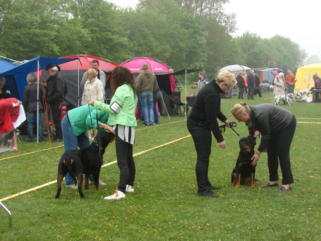 Svendborg 2013