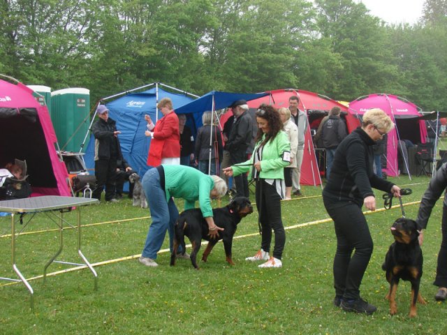 Svendborg 2013