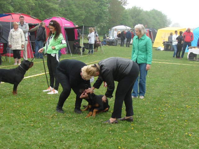 Svendborg 2013