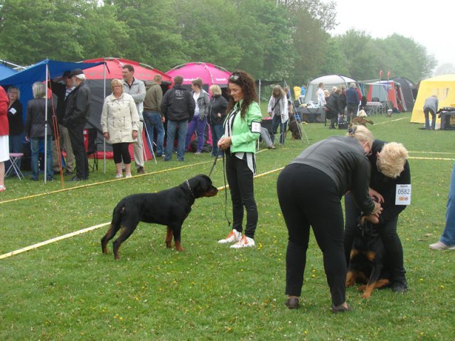 Svendborg 2013