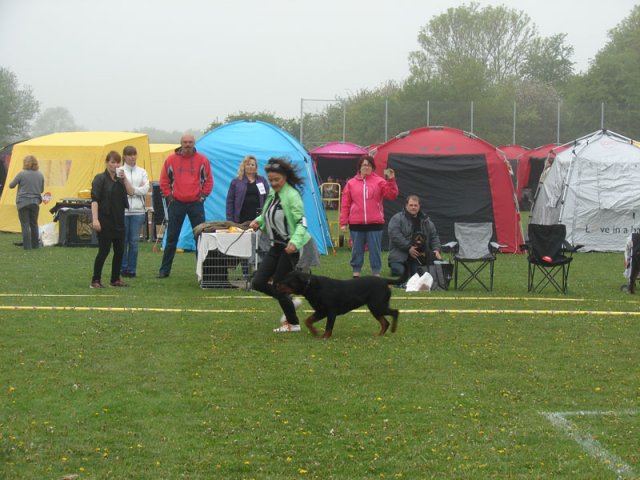 Svendborg 2013