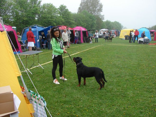 Svendborg 2013