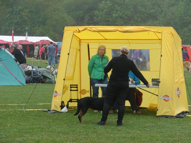 Svendborg 2013