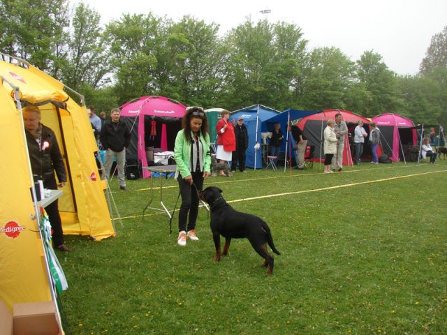Svendborg 2013