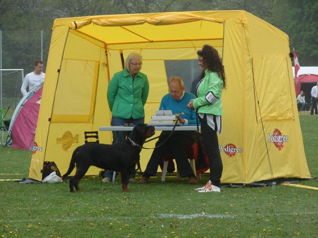 Svendborg 2013