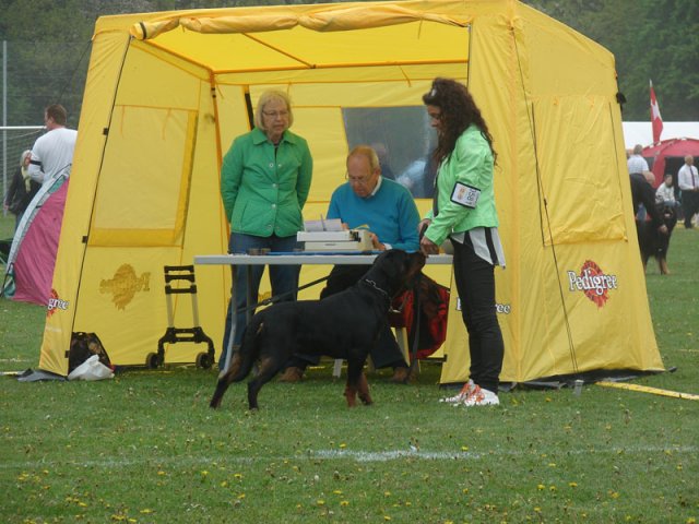 Svendborg 2013