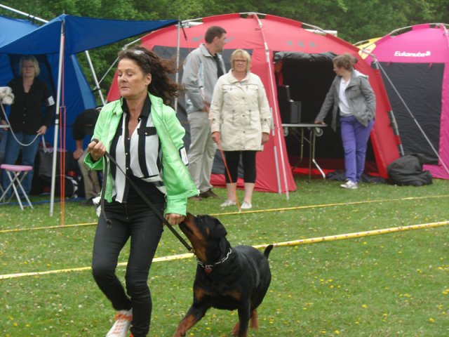 Svendborg 2013