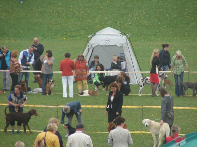 Svendborg 2013