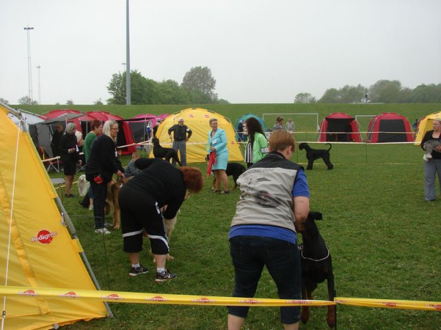 Svendborg 2013