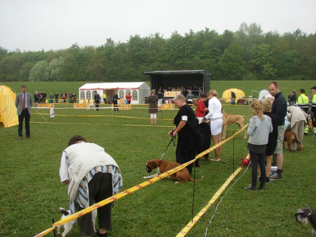 Svendborg 2013