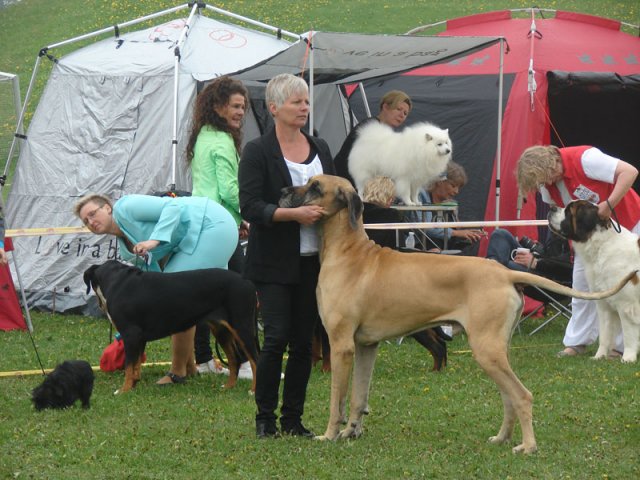 Svendborg 2013