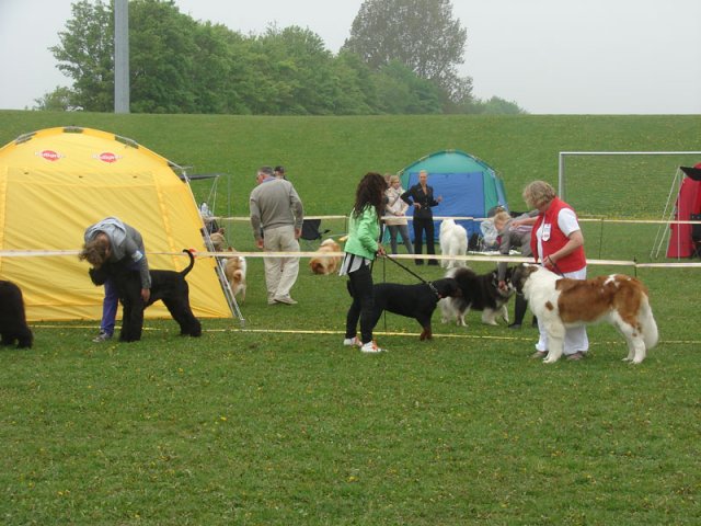 Svendborg 2013