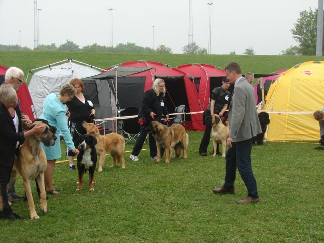 Svendborg 2013