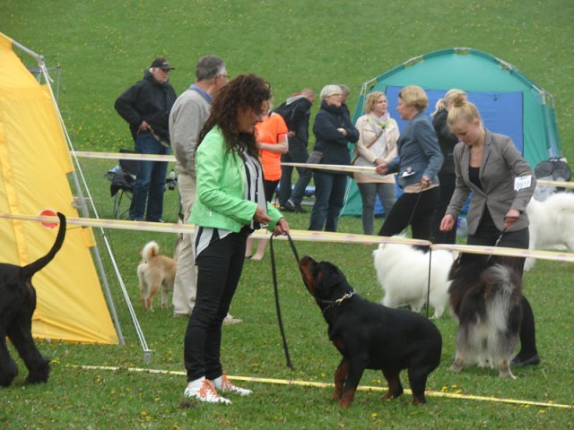 Svendborg 2013