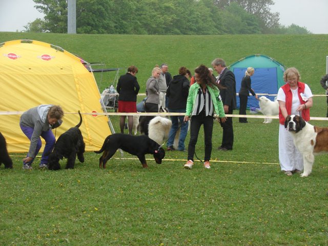 Svendborg 2013