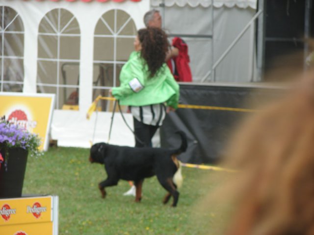 Svendborg 2013