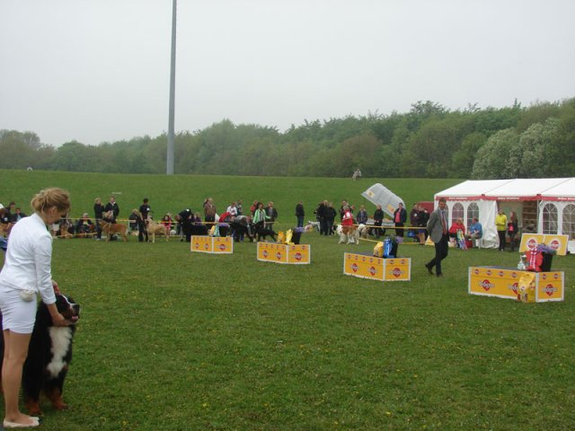 Svendborg 2013