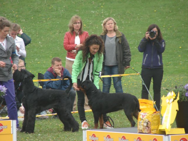 Svendborg 2013