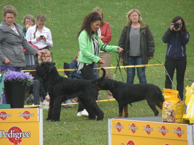 Svendborg 2013