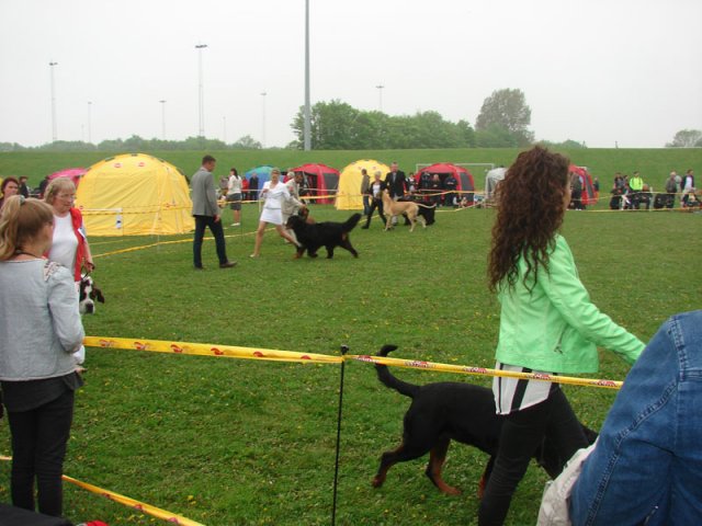 Svendborg 2013