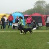 Svendborg 2013