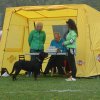 Svendborg 2013