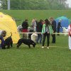 Svendborg 2013