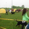 Svendborg 2013
