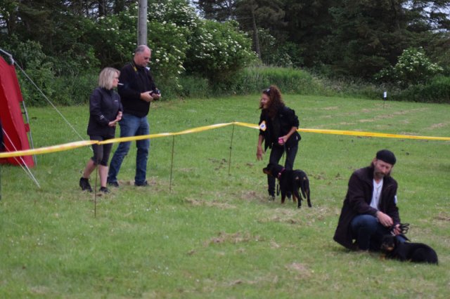 Hjørring 2016