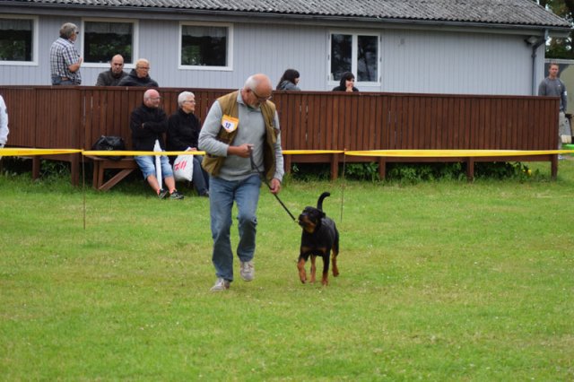 Hjørring 2016
