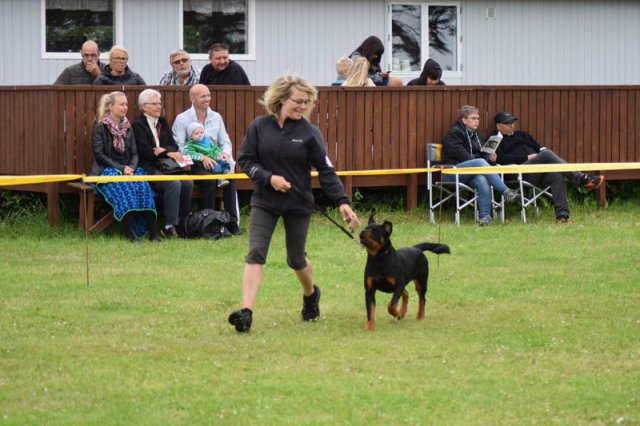 Hjørring 2016