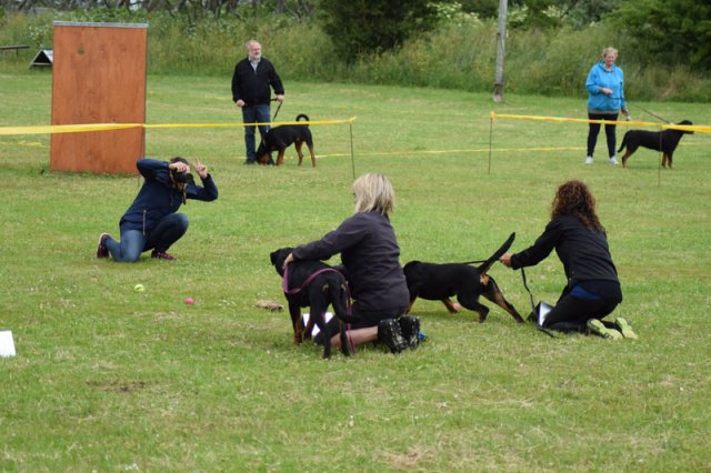 Hjørring 2016