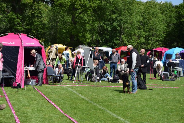 Vejen lørdag 2015