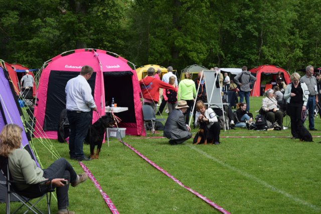 Vejen lørdag 2015