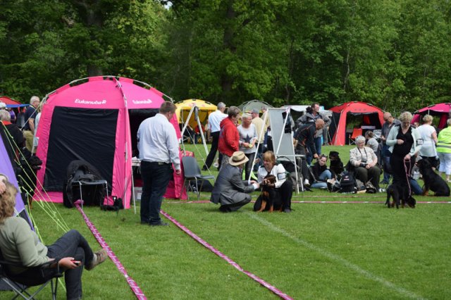 Vejen lørdag 2015