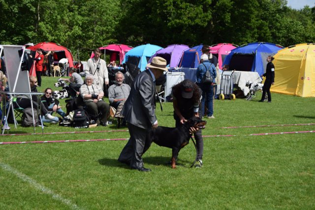 Vejen lørdag 2015