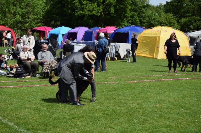 Vejen lørdag 2015