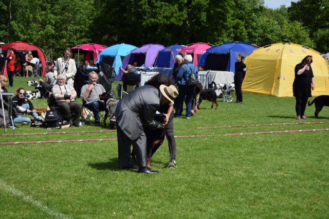 Vejen lørdag 2015