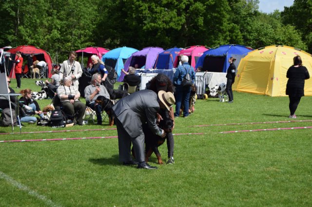 Vejen lørdag 2015