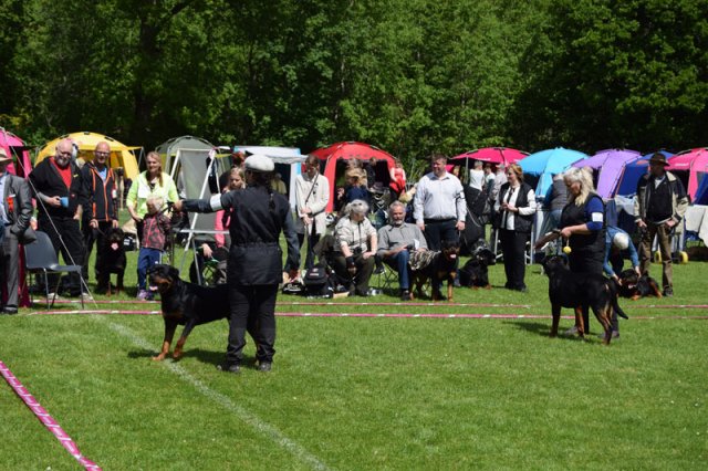 Vejen lørdag 2015